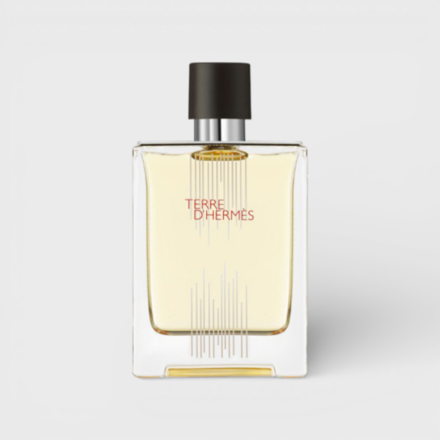 Hermes Terre D´ Hermes Edt 100 Ml Para Hombre
