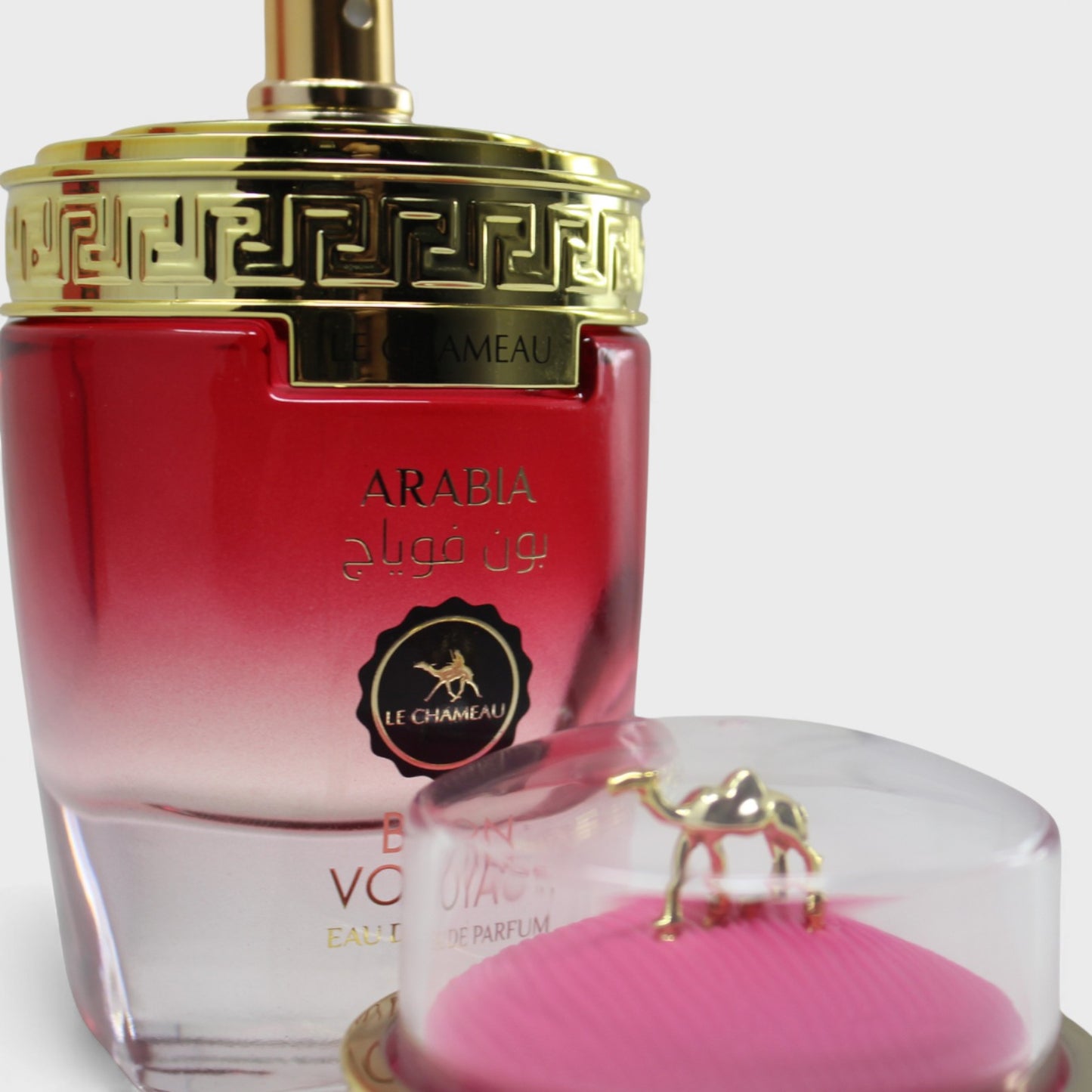 LE CHAMEAU ARABIA BON VOYAGE EDP 100 ML PERFUME DAMA